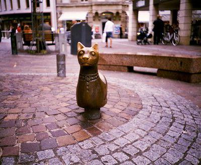 ���, ������, ��������������.