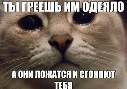 Похожее изображение