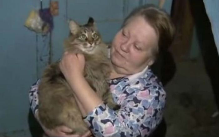 Бездомная кошка нашла ребенка, брошенного матерью у мусоропровода Бездомная кошка нашла ребенка, брошенного матерью у мусоропровода