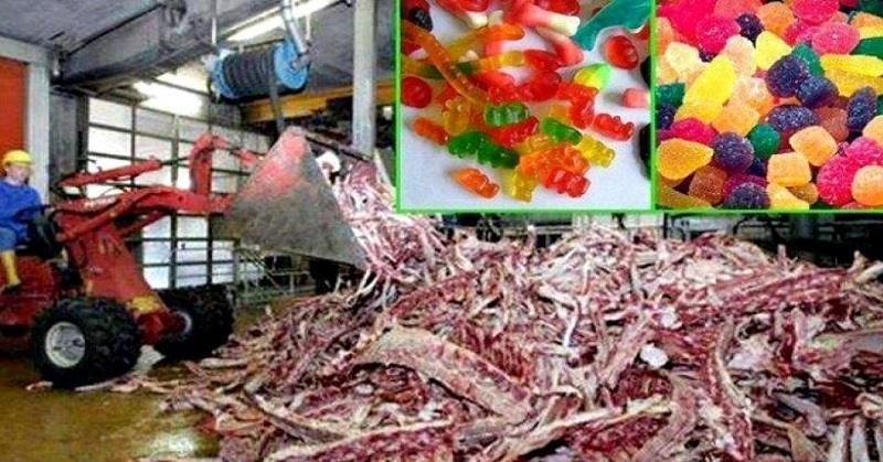 Посмотри, из чего сделаны эти любимые детские конфеты! Волосы дыбом! Посмотри, из чего сделаны эти любимые детские конфеты! Волосы дыбом!