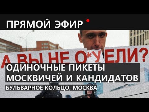 Одиночные пикеты москвичей и кандидатов. Бульварное кольцо, Москва. Камера 2