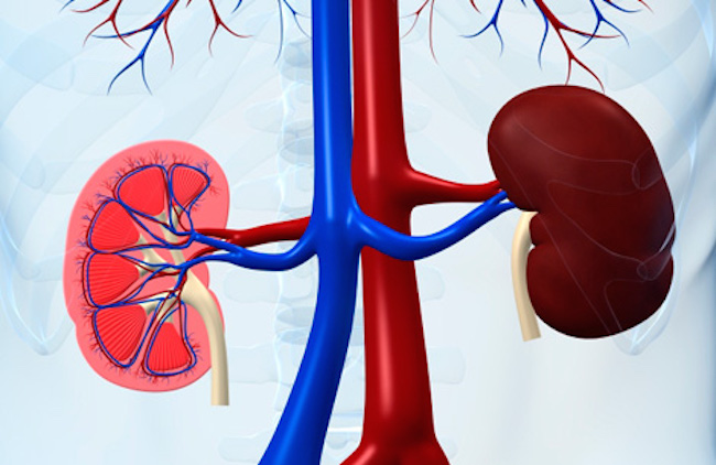What-Should-You-Eat-if-You-Have-Kidney-Disease-