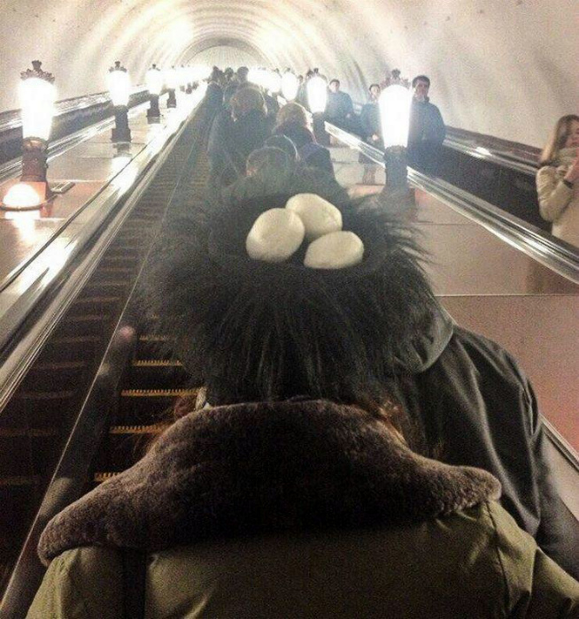 Гнездо на голове. Гнездо на голове.