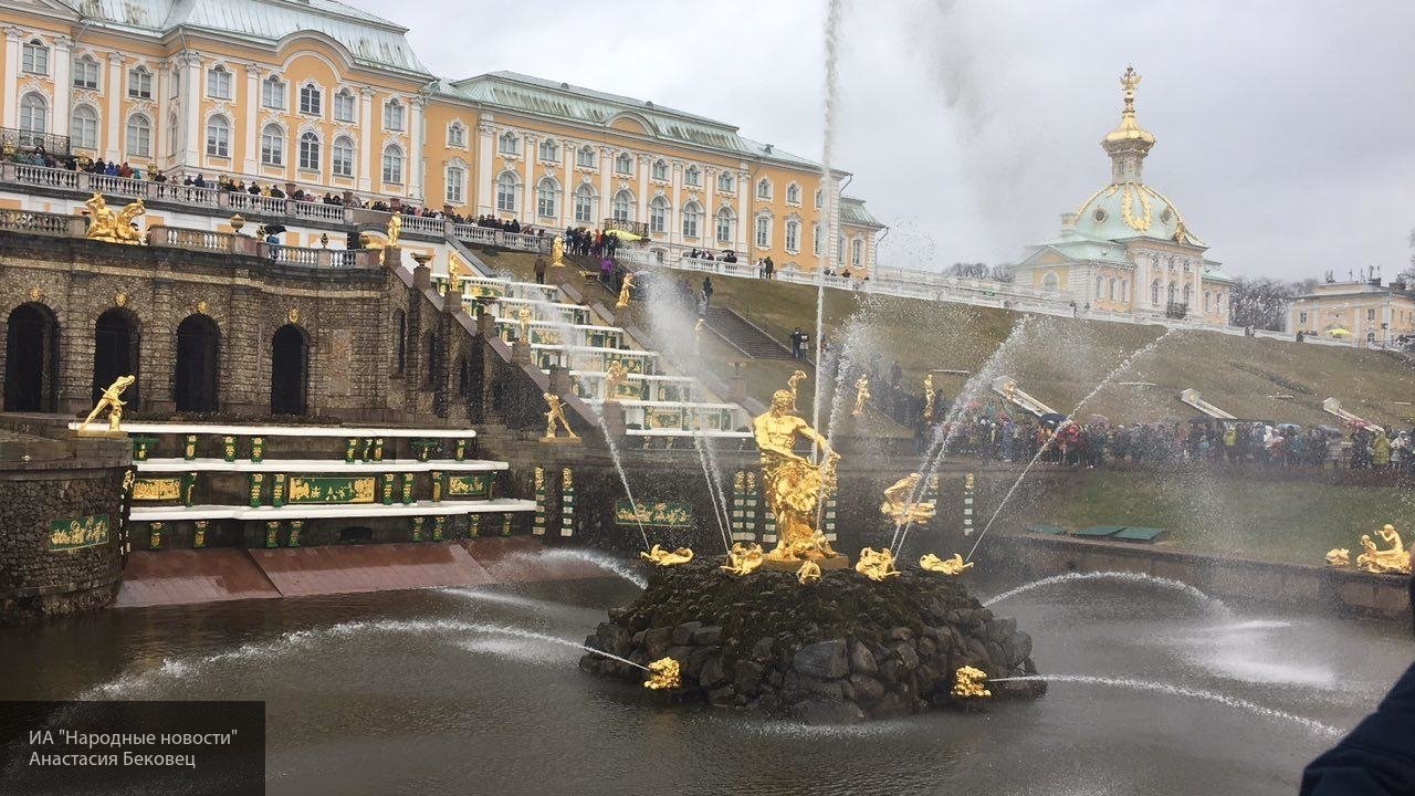 В Петербурге будет запущен скоростной трамвай до Петергофа