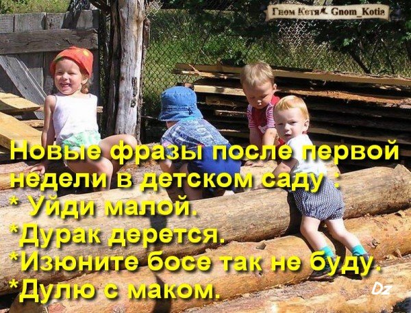 Детский сад это афоризмы Детский сад это афоризмы