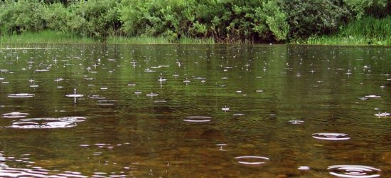 pogoda