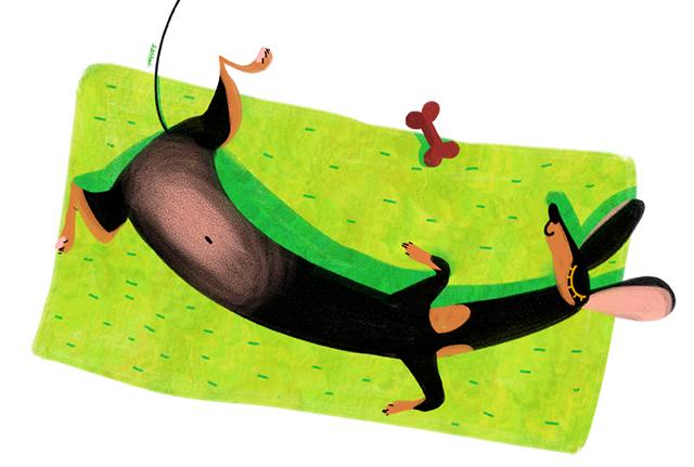 Смешная история о поездке таксы на знакомство с родителями хозяйки