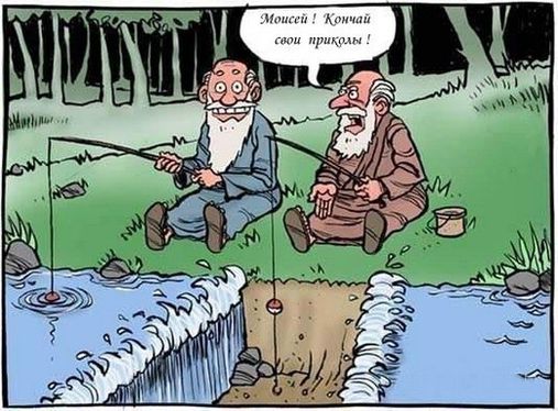 Забавные истории для чтения на выходные