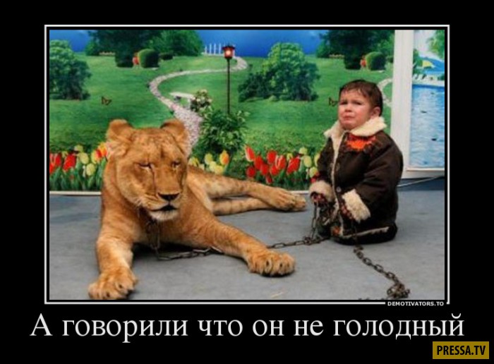 Демотиваторы воскресного дня Демотиваторы воскресного дня