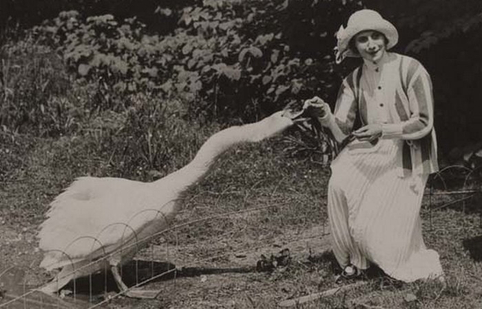 Великая Анна Павлова – прима-балерина, у которой было настоящее лебединое озеро Великая Анна Павлова – прима-балерина, у которой было настоящее лебединое озеро