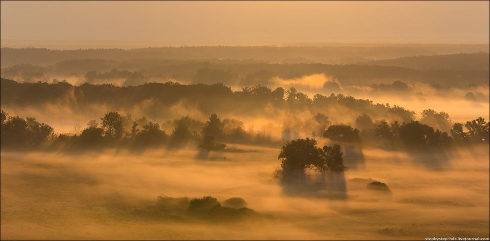 fog19 Королевство туманов