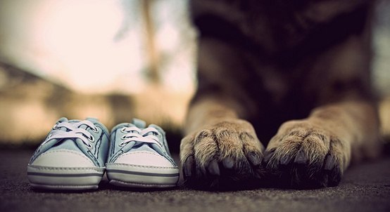 Коллекция позитивных фотографий №12 Коллекция позитивных фотографий №12