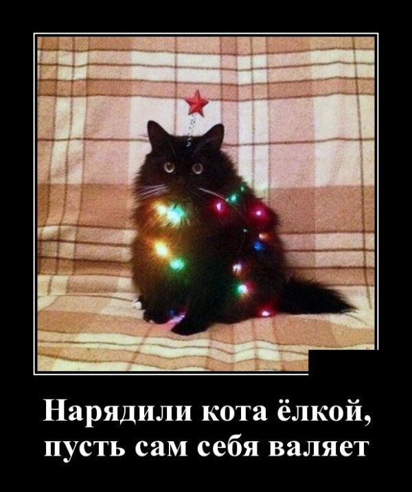 Демотиваторы Демотиваторы