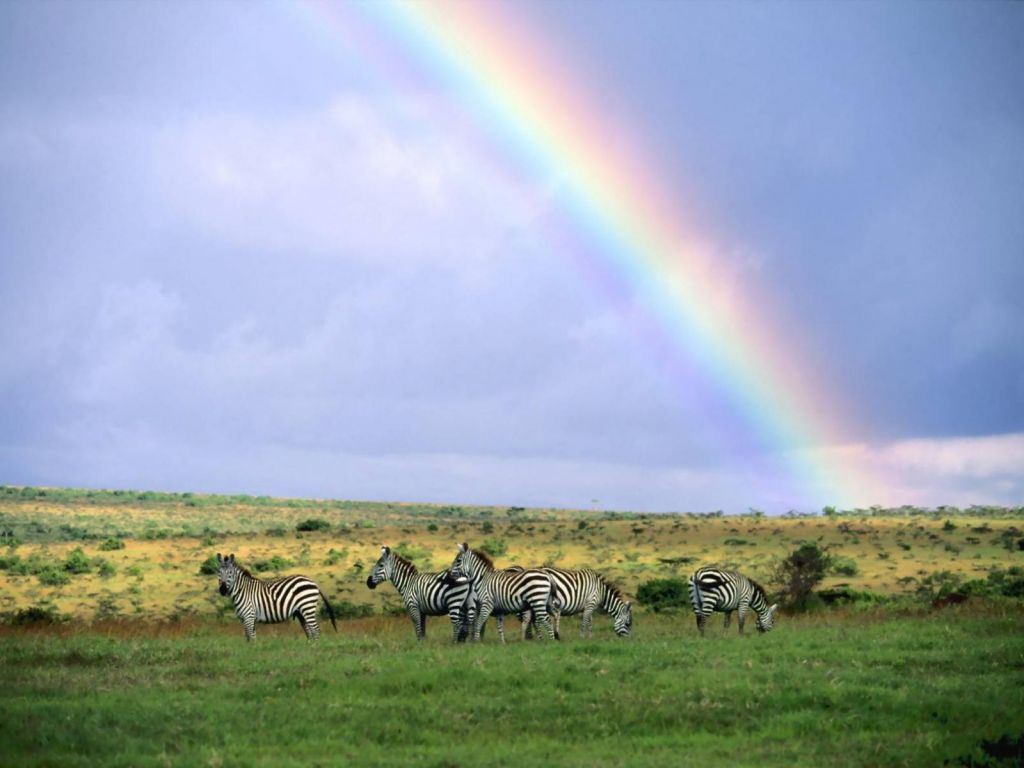 Datos interesantes sobre el arco iris