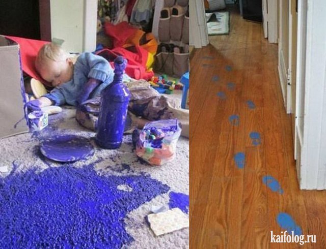 Чудо в перьях (45 фото) Чудо в перьях (45 фото)