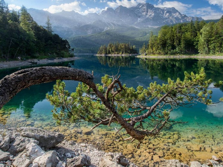 Природа России 5 Природа России 5