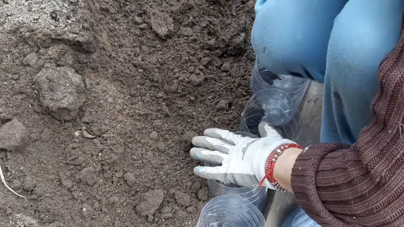 Гениальная идея для клумбы из пластиковых бутылок