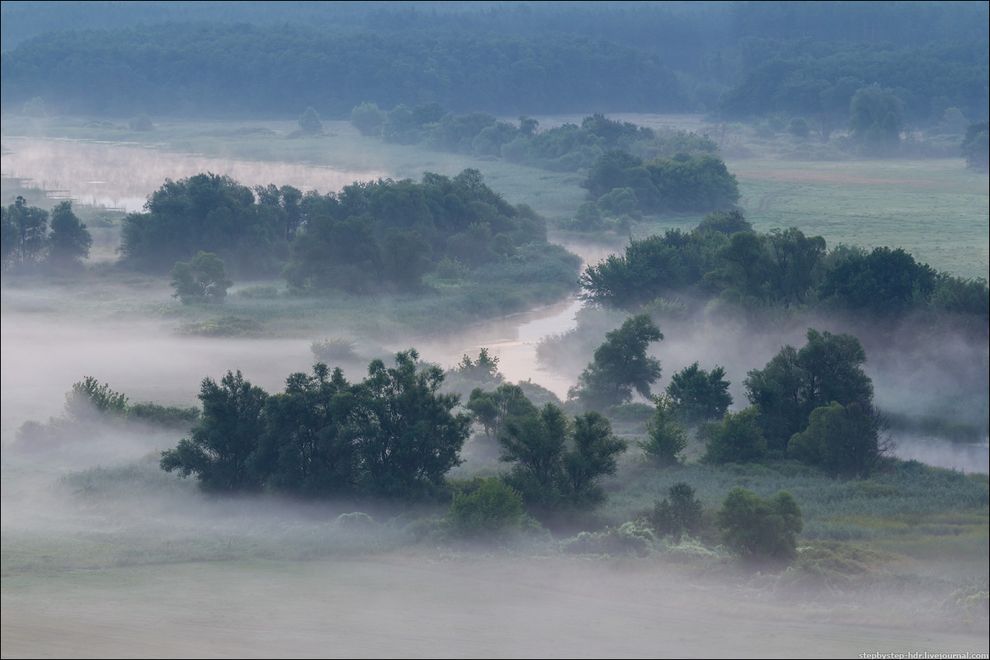 fog11 Королевство туманов