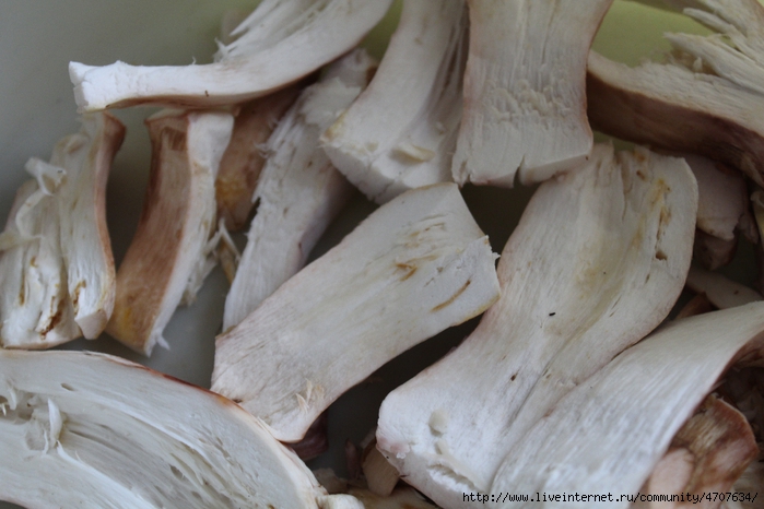 1IMG_ 13 (6) (700x466, 226Kb)
