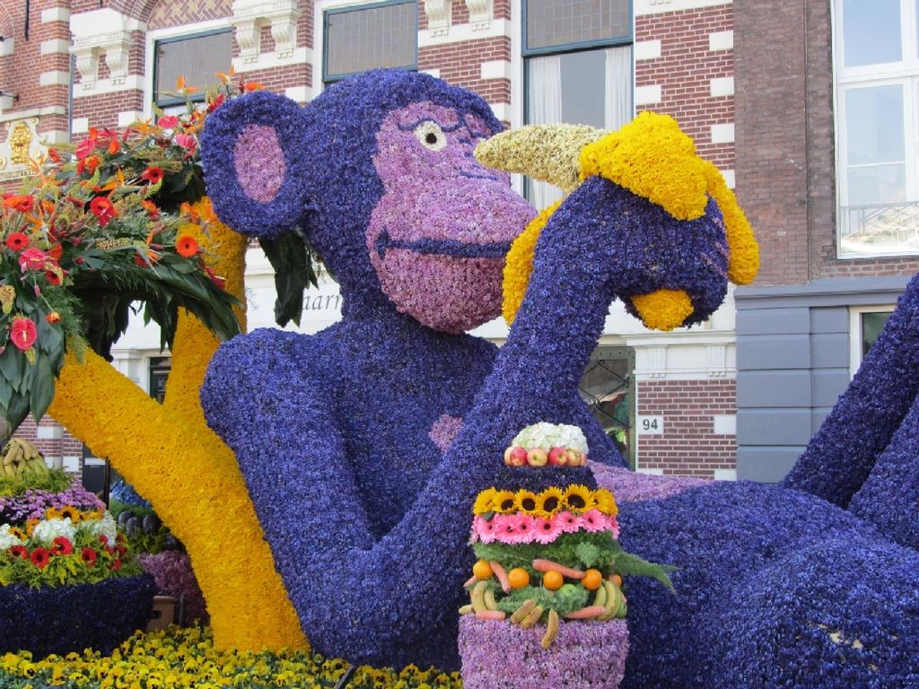 NewPix. ru -    Bloemencorso