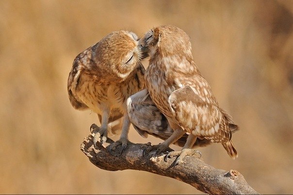 Коллекция позитивных фотографий №12 Коллекция позитивных фотографий №12