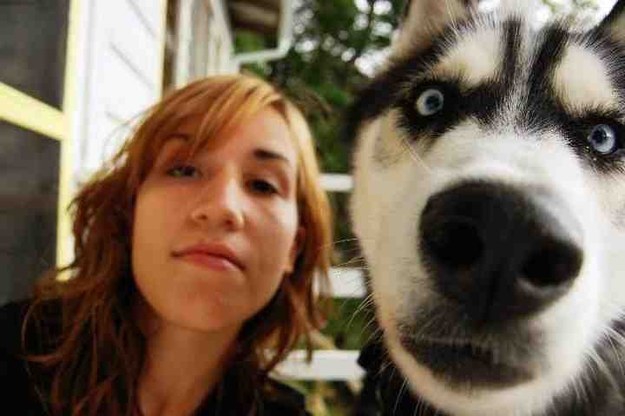 29 самых популярных селфи собак, которые потрясли весь мир селфи, собака