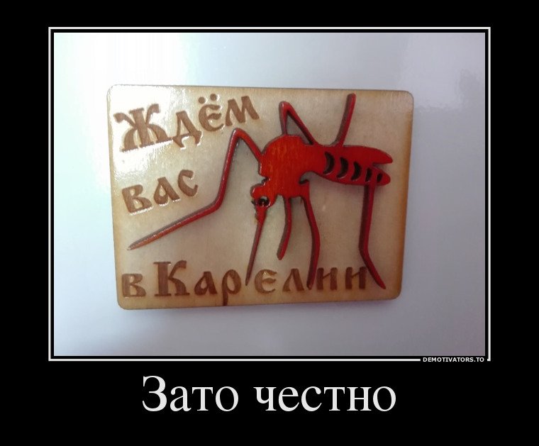 Забавные демотиваторы для ценителей (11 фото) Забавные демотиваторы для ценителей (11 фото)