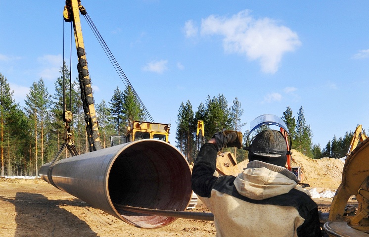 ТАСС: Болгария готова разместить у себя газораспределительную станцию европейского масштаба