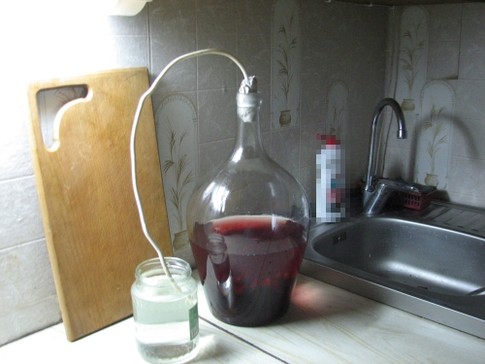 Сливовое вино рецепт приготовления в домашних условиях