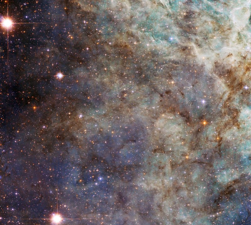 Os arredores da Nebulosa da Tarântula são interessantes, espaço, beleza, ciência, foto