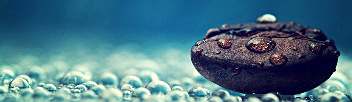 macro