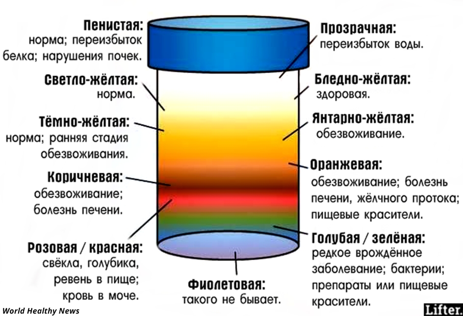 Как заказать девушек в сыктывкаре Как заказать девушек в сыктывкаре