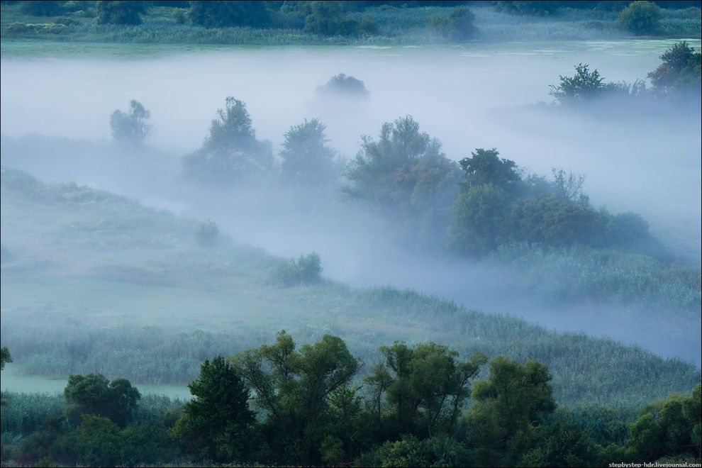 fog06 Королевство туманов