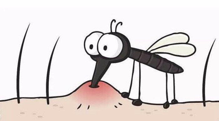 Средство, которое мгновенно поможет от зуда после укуса комара