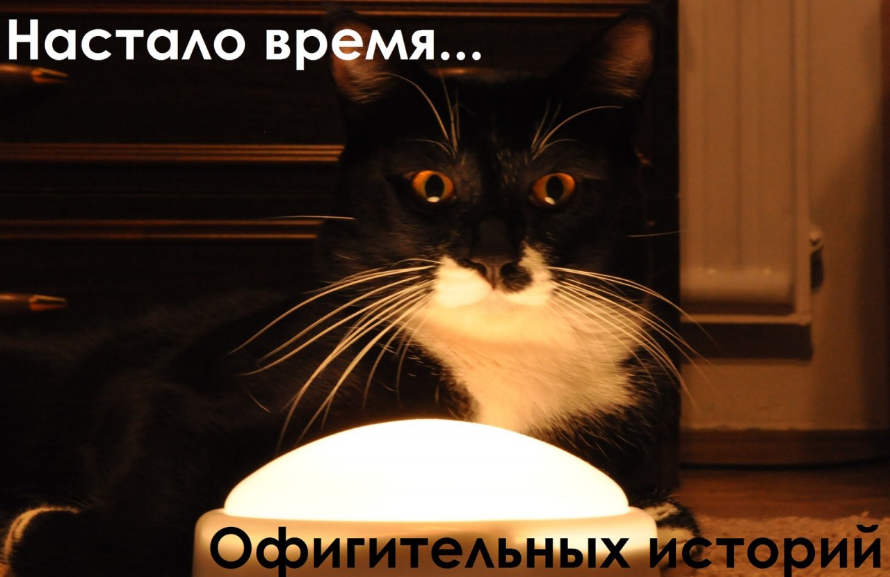 настало время офигительных историй настало время офигительных историй