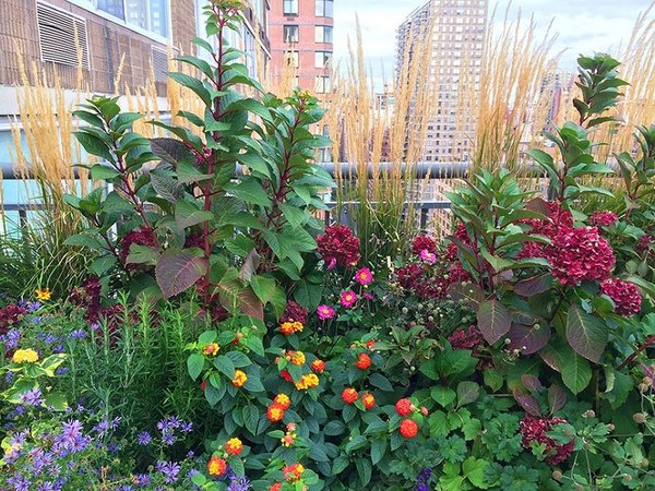Фото: Todd Haiman Landscape Design Inc.