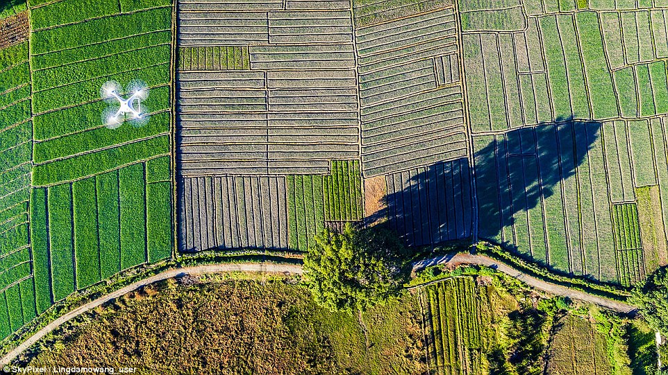 Фото, сделанное дроном