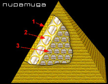 Структура пирамиды
