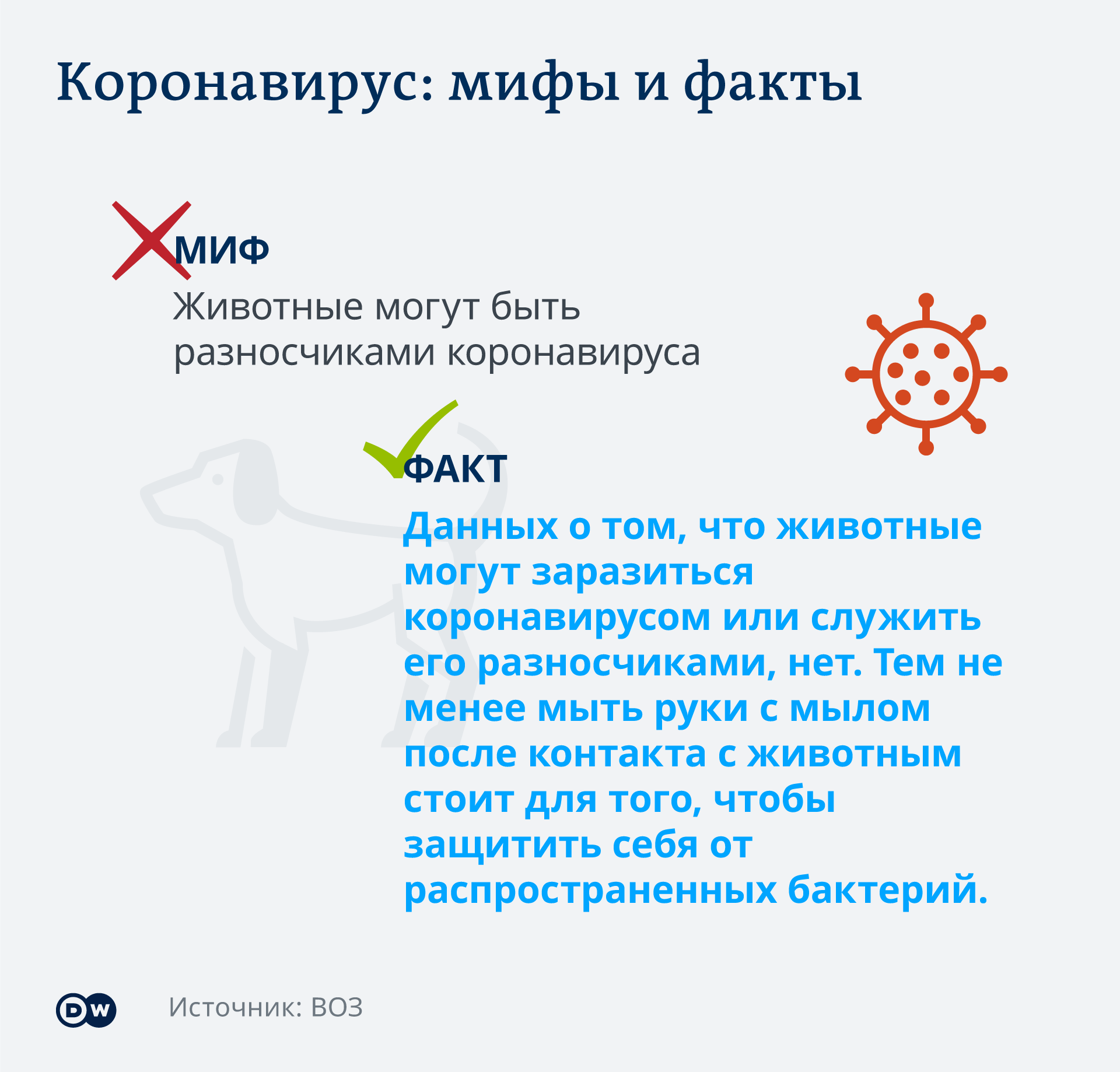 Infografik Coronavirus Mythen Tatsachen Haustiere RU Infografik Coronavirus Mythen Tatsachen Haustiere RU
