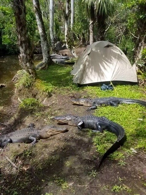 Прикольные картинки Прикольные картинки прикол, смех, юмор