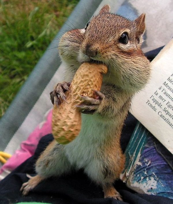 ПозитиФФ...))) к понедельнику, мммммм...красота)))))