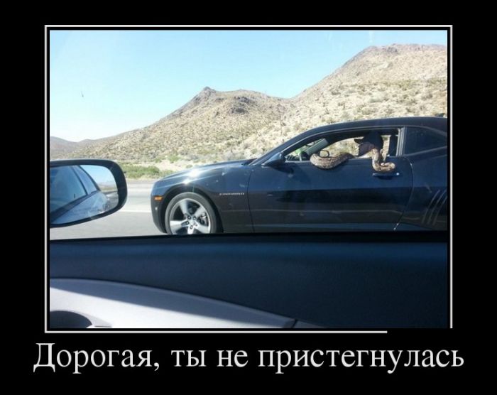 Прикольные демотиваторы со смыслом (10 фото) Прикольные демотиваторы со смыслом (10 фото)