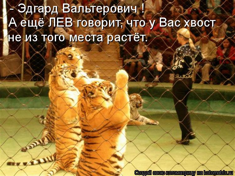 Котоматрица - А ещё ЛЕВ говорит, что у Вас хвост - Эдгард 
Вальтерович ! не из того м