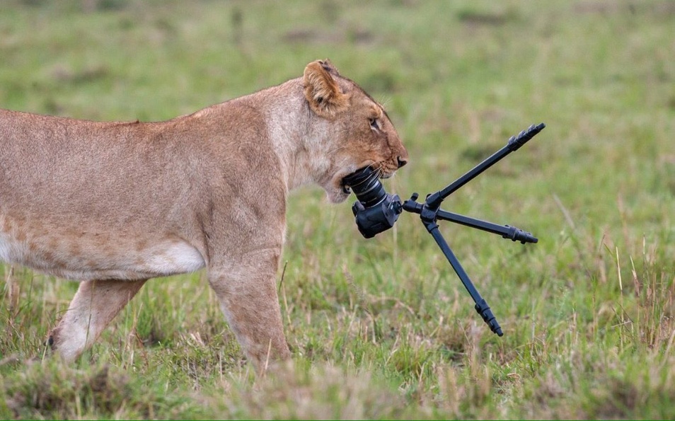 ФОТОКАРТИНКИ