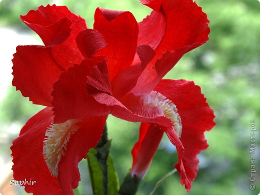 Поделка изделие Бумагопластика Квиллинг ИРИС Бумага гофрированная фото 12