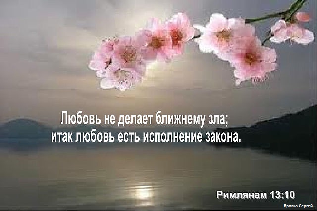 Я не кому не желаю зла стих Я не кому не желаю зла стих