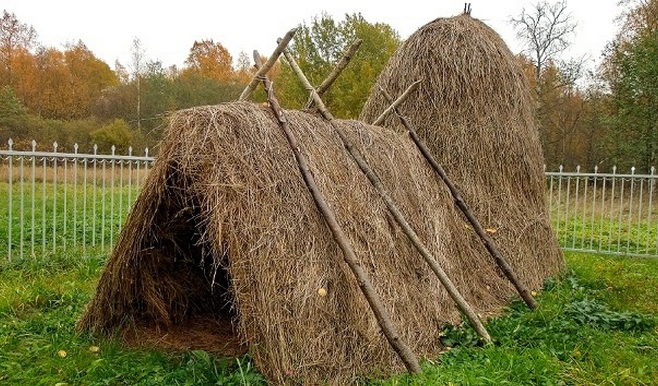 музей шалаш ленина в разливе