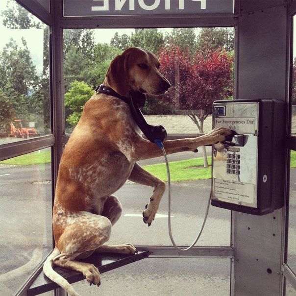 Больше, чем просто фото (50 фото)