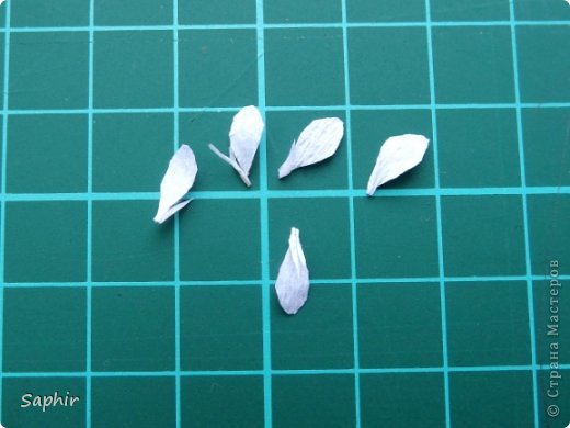 Мастер-класс Бумагопластика Маленькие цветочки из бумаги Кристал  Бумага гофрированная фото 7