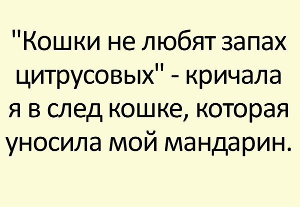 Невыдуманные короткие жизненные рассказы с просторов интернета, которыя поднимут настроение… Невыдуманные короткие жизненные рассказы с просторов интернета, которыя поднимут настроение…